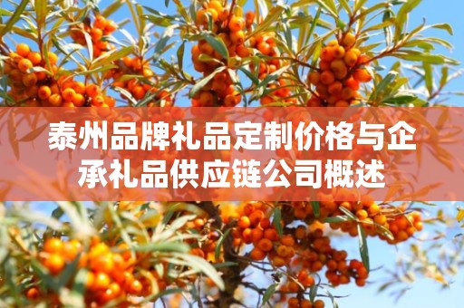 泰州品牌礼品定制价格与企承礼品供应链公司概述