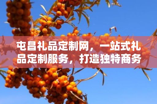 屯昌礼品定制网，一站式礼品定制服务，打造独特商务礼品体验