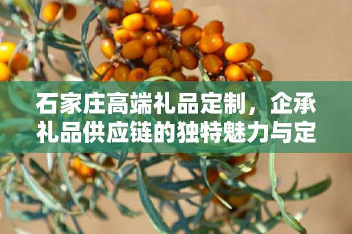 石家庄高端礼品定制，企承礼品供应链的独特魅力与定制之旅