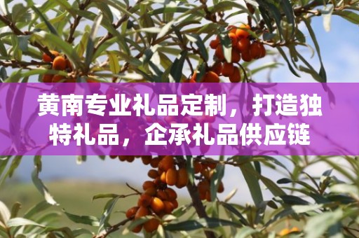 宁夏专业礼品定制，打造独特礼品，企承礼品供应链引领行业新风尚