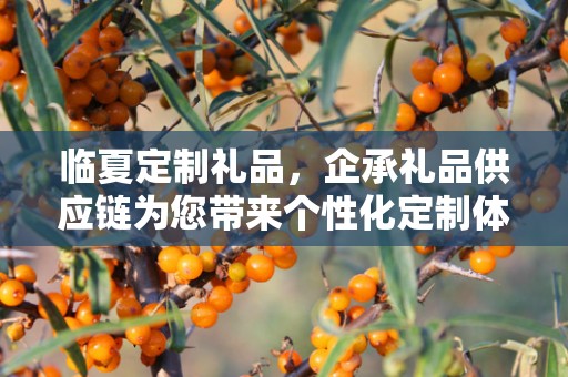临夏定制礼品，企承礼品供应链为您带来个性化定制体验