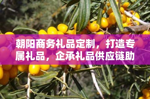 朝阳商务礼品定制，打造专属礼品，企承礼品供应链助力商务往来