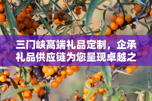 三门峡高端礼品定制，企承礼品供应链为您呈现卓越之选