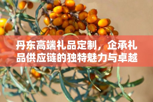 丹东高端礼品定制，企承礼品供应链的独特魅力与卓越服务