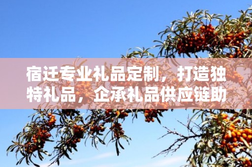 宿迁专业礼品定制，打造独特礼品，企承礼品供应链助力商务往来