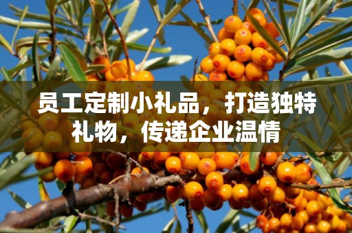 员工定制小礼品，打造独特礼物，传递企业温情