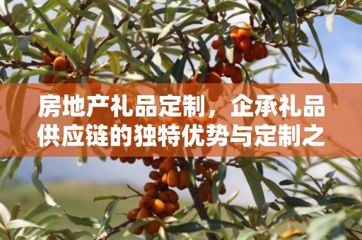 房地产礼品定制，企承礼品供应链的独特优势与定制之旅