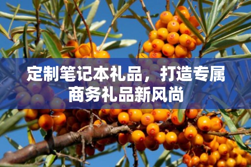 定制笔记本礼品，打造专属商务礼品新风尚