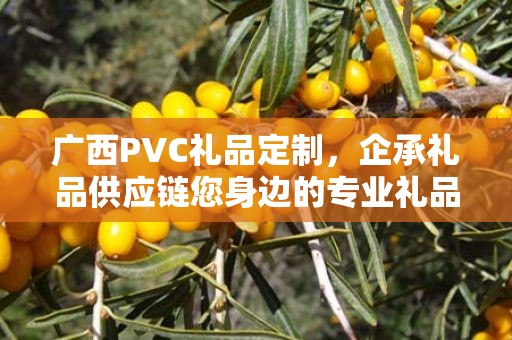 广西PVC礼品定制，企承礼品供应链您身边的专业礼品定制公司