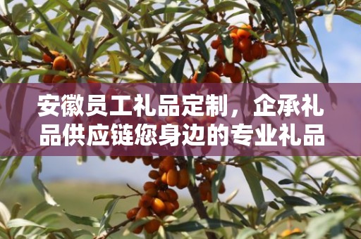 安徽员工礼品定制，企承礼品供应链您身边的专业礼品定制公司