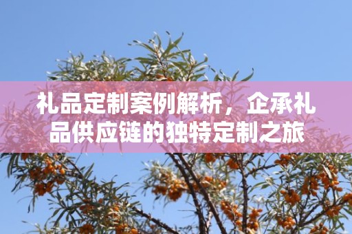 礼品定制案例解析，企承礼品供应链的独特定制之旅