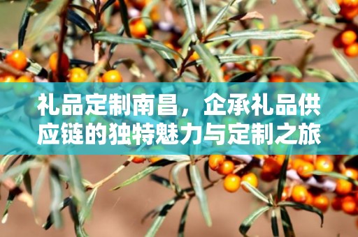 礼品定制南昌，企承礼品供应链的独特魅力与定制之旅